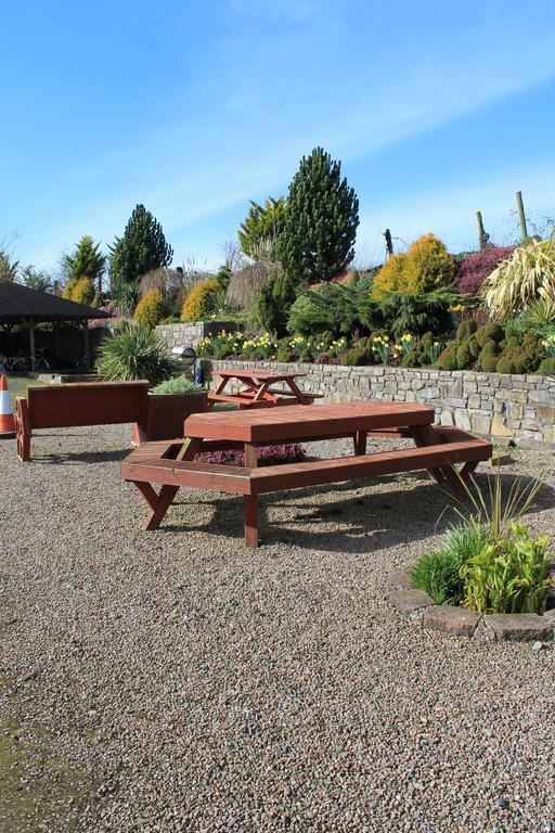 Bective Mill B&B Kilmessan Exterior photo